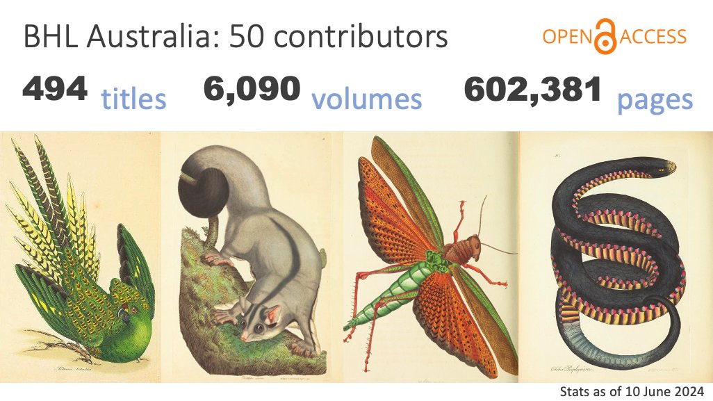 BHL Australia tweet media