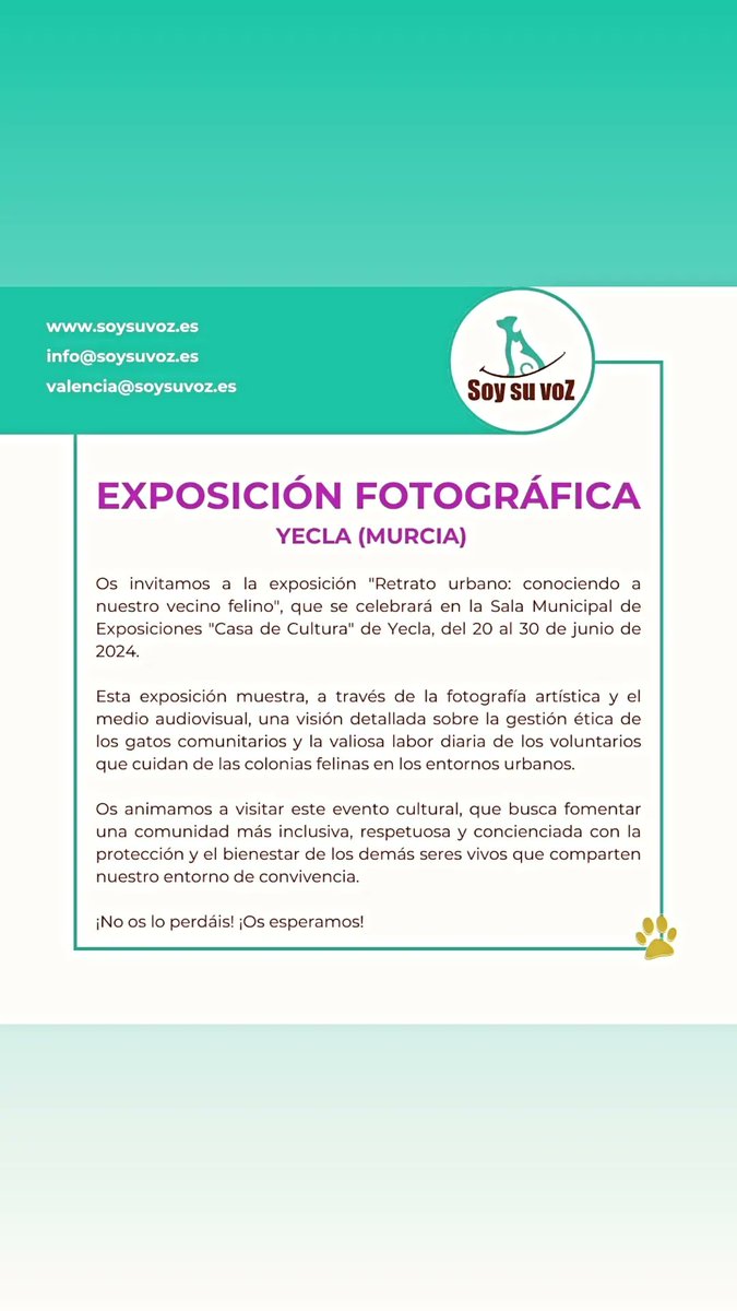 soysuvozyecla tweet media