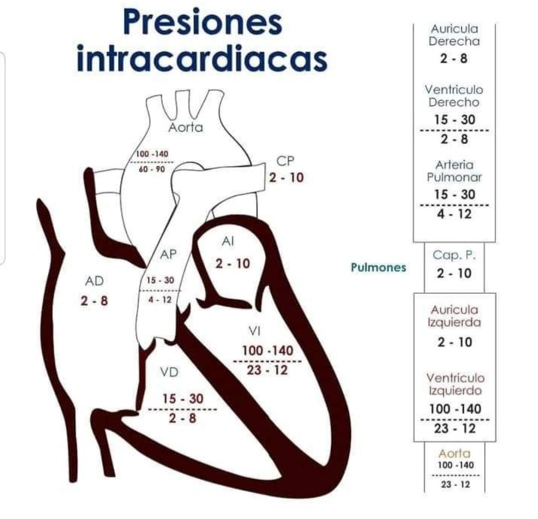 ENARM_intensivo's tweet image. 🌀 PRESIONES  INTRACARDIACAS

#ENARM_INTENSIVO #ENARM #ENARM2024
