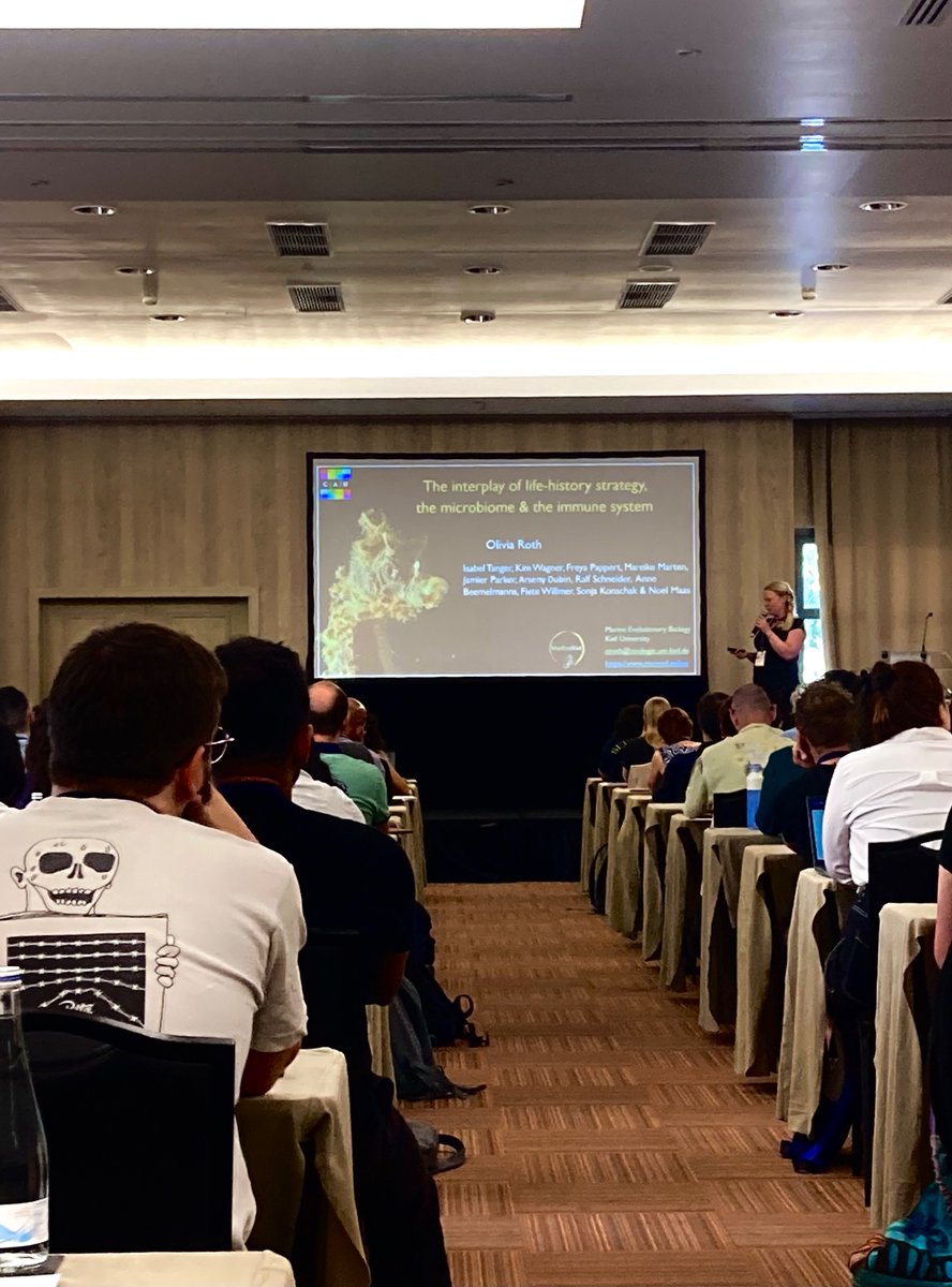 SymbNET (@symbnet) on Twitter photo Did you know that Ria Formosa, the lagoons system just in front of our venue, has one of the world largest community of seahorses? Learn more about seahorses male pregnancy and their microbiome with <a href="/O_LiviaRoth/">Olivia Roth</a> presentation, happening now!
#symbNET2024 Did you know that Ria Formosa, the lagoons system just in front of our venue, has one of the world largest community of seahorses? Learn more about seahorses male pregnancy and their microbiome with <a href="/O_LiviaRoth/">Olivia Roth</a> presentation, happening now!
#symbNET2024