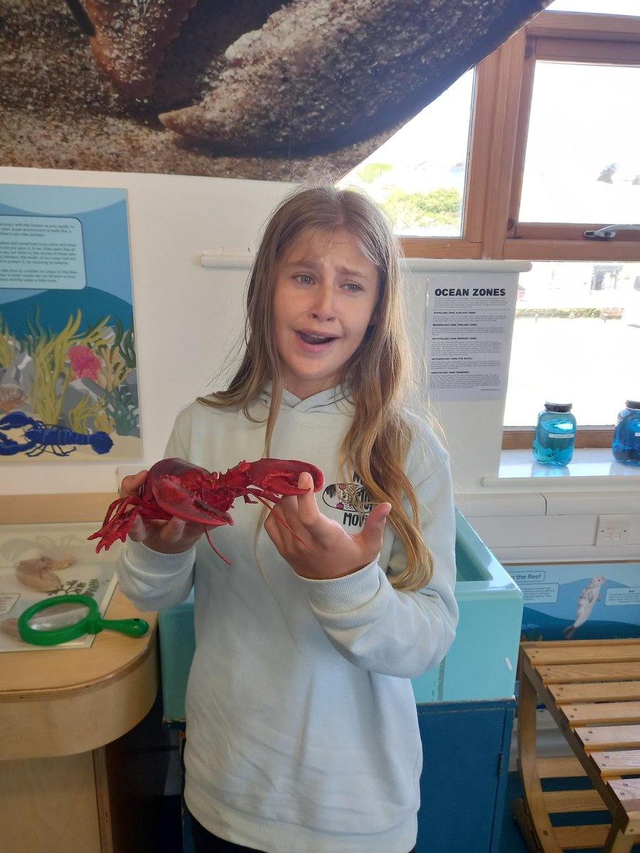 ACEBodmin tweet media