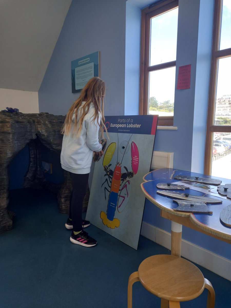 ACEBodmin tweet media