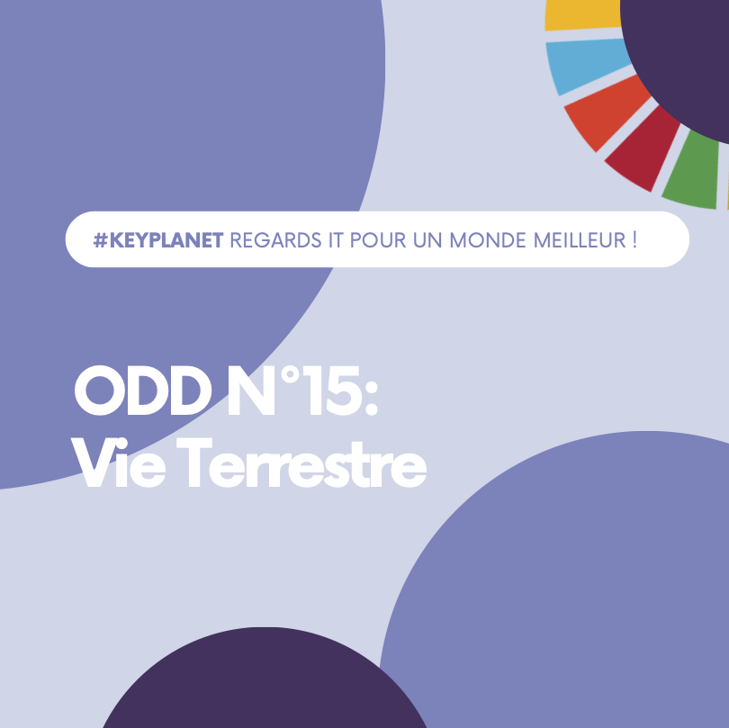Key_Consulting's tweet photo. L'#ODD 15 vise à préserver nos écosystèmes terrestres. Le numérique responsable est un levier pour atteindre cet objectif en réduisant les empreintes écologiques &amp; en soutenant la biodiversité.

Nous mettons en avant les pratiques IT durables sur tous nos projets clients. https://t.co/01COI3dYbt