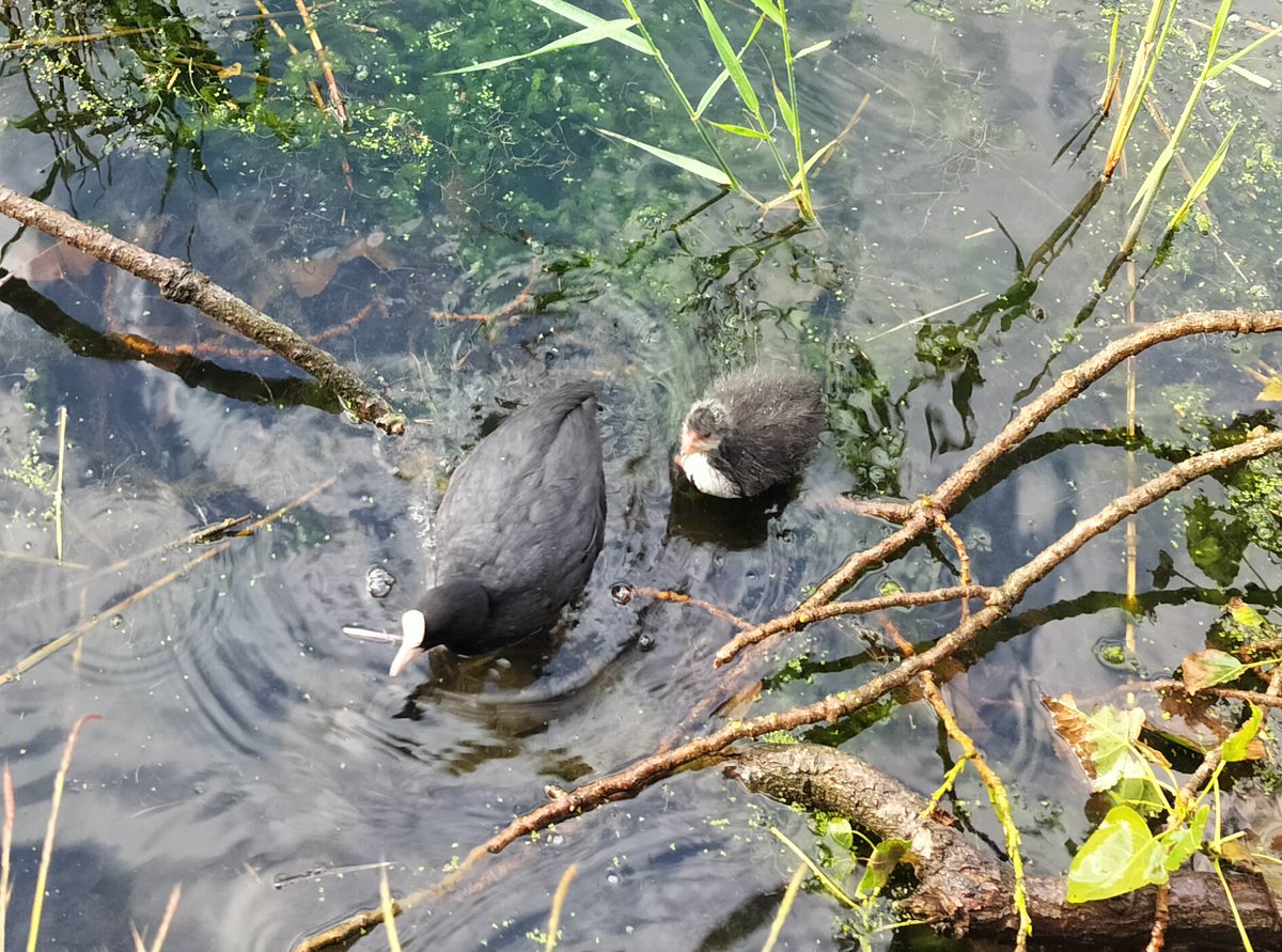 Sally Millington tweet media