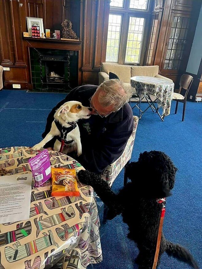Give a Dog a Bone... and an animal a home tweet media