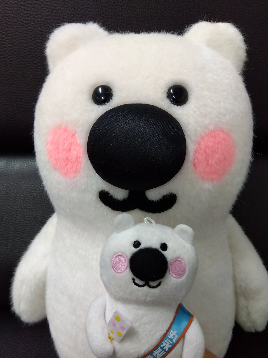 くま吉 - Search / X