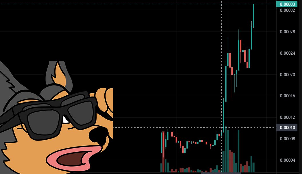 Pauulchristian's tweet photo. Seems @RexCoinIO will take over soon! Bag some $Rex degens or be left behind.

#RexToTheMoon https://t.co/Kh133pn0ha