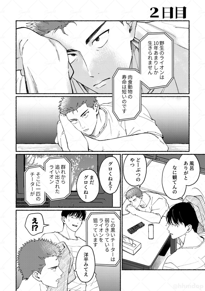 (2/7) 