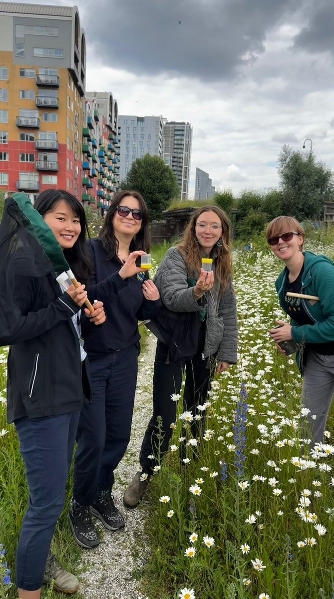 TCV Haringey tweet media