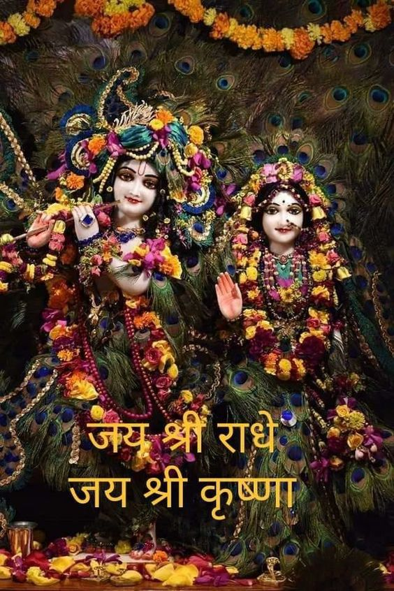naren_dr1103's tweet photo. ॐ गं गणपतये नमो नमः
ॐ श्री कृष्णाय नमः 
वसुदेवसुतं देवं,कंसचाणूरमर्दनम्।
देवकी परमानन्दं,कृष्णं वन्दे जगद्गुरुम।
शुभ प्रभात 
#शुभ_प्रभात_बुधवार  #जय_श्री_राधे_कृष्ण  #ॐ_गं_गणपतये_नमः 
#Good_Morning_Wednesday https://t.co/PNBYvLGJOI