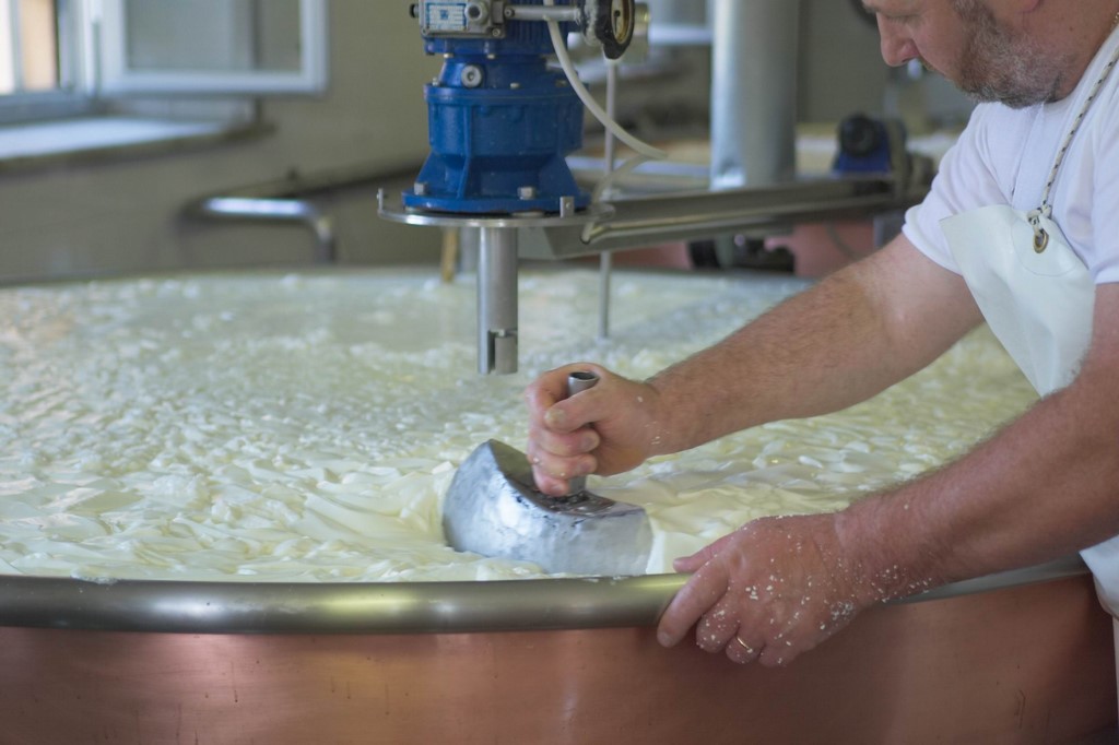 FFriulane's tweet image. Conosciamo meglio la Latteria Borgo Paludo di Fagagna, fondata nel 1923! 🧀

Scopri i prodotti e assaggia il gusto unico di Latteria Borgo Paludo👇
fattoriefriulane.it/latteria-di-fa…

#FattorieFriulane #AAFVG #latteria #fagagna #formaggifriulani #friuli