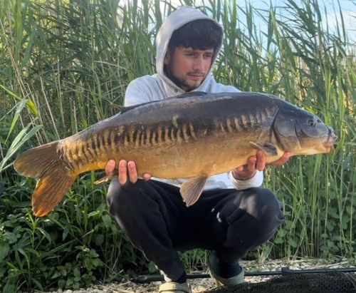 Plumbcity's tweet photo. BIGGER FISH, BIGGER CATCHES! 🎣 

What a morning on the water! Our anglers are reeling in the big ones! 
Roy's catch of the day so far is a whopping 23lb and Will's not far behind with a 21lb beauty! 
It's shaping up to be an epic day on the water! 

#fishing #bigcatch https://t.co/wMQszl2lkn