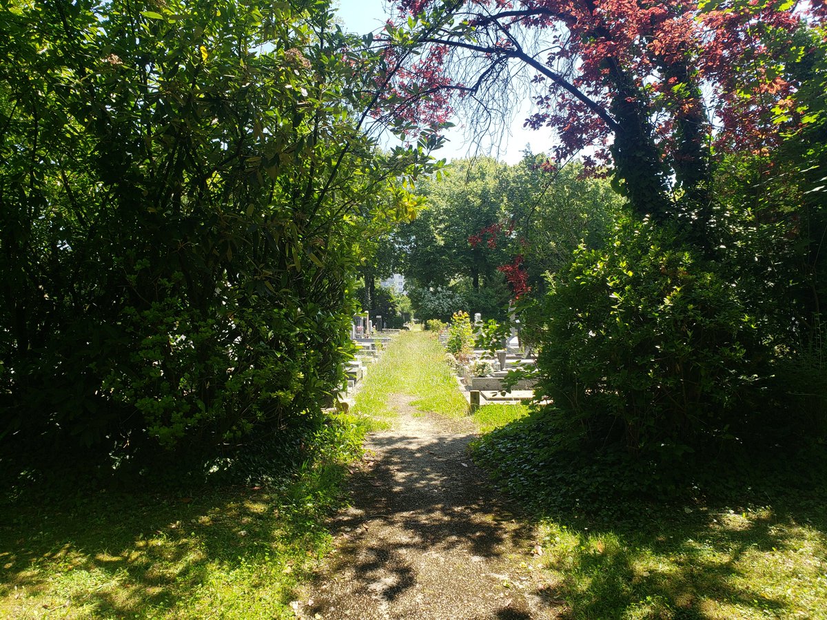 Bertrand Beyern tweet media