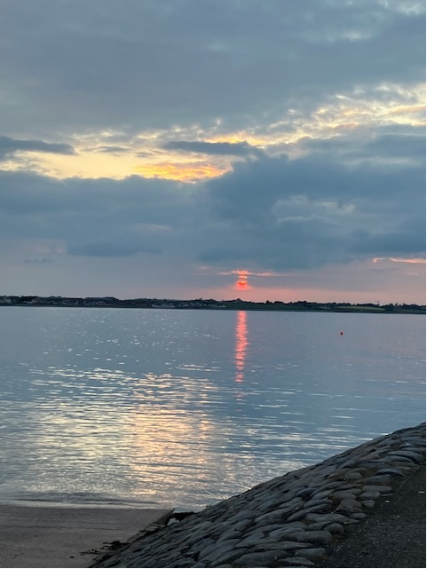 BallywalterPark 🇺🇦 tweet media