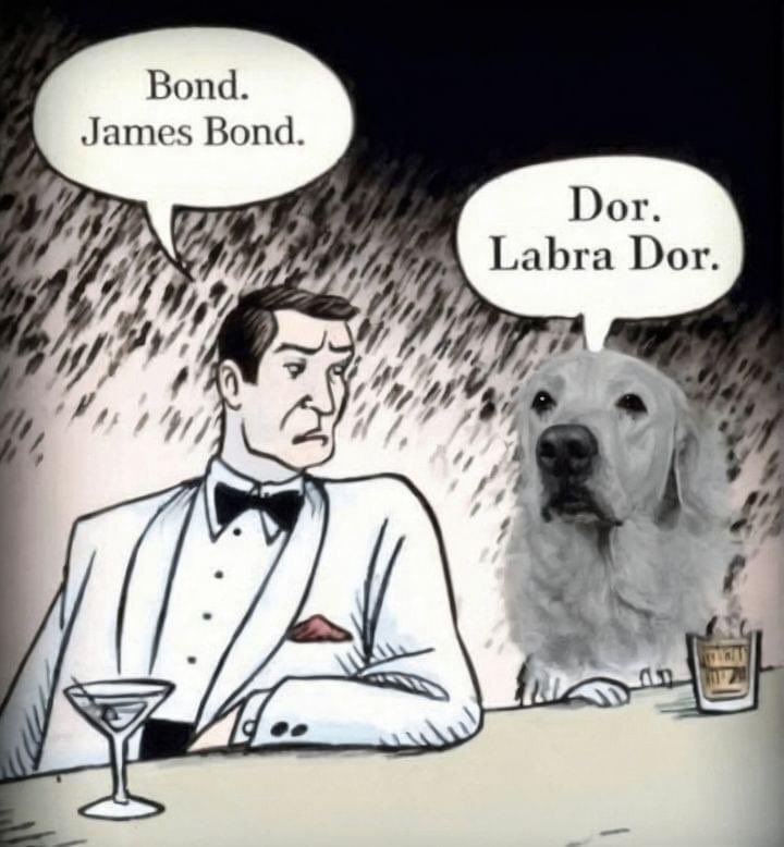 Markus Peter (@markuspeter) on Twitter photo 