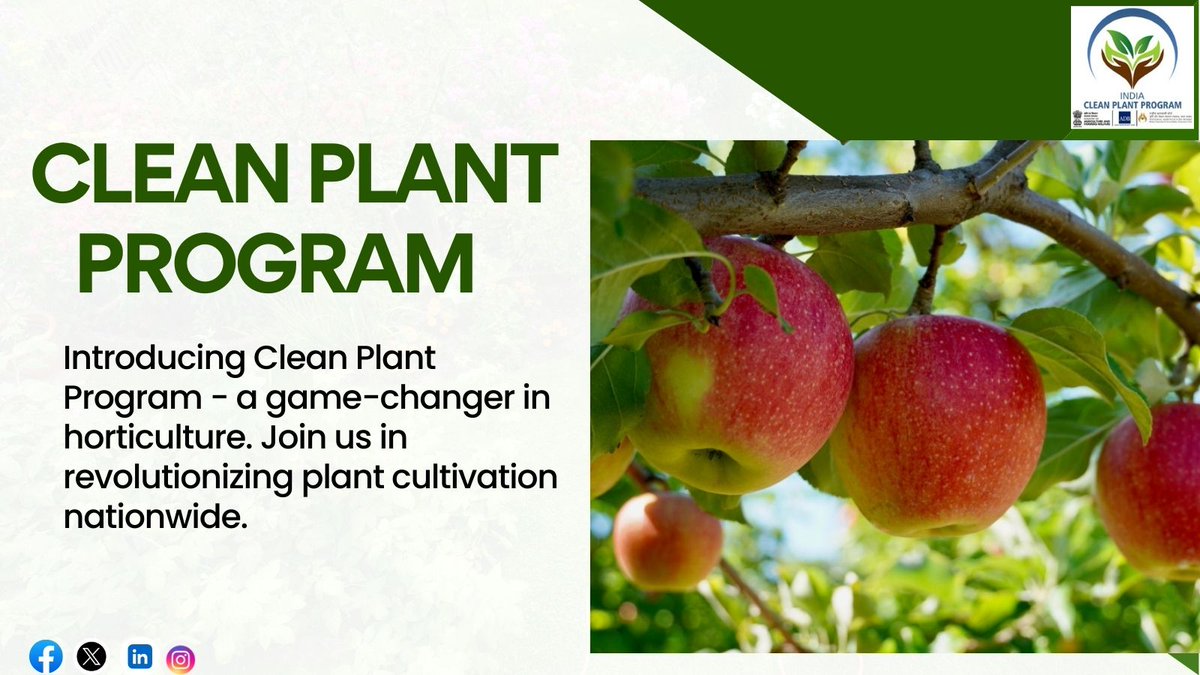 Introducing the Clean Plant Program. 🌿We're revolutionizing plant cultivation, ensuring healthier and more resilient crops. Join us in transforming horticulture for a sustainable future!🌍 #CleanPlantProgram #HorticultureRevolution #NHB