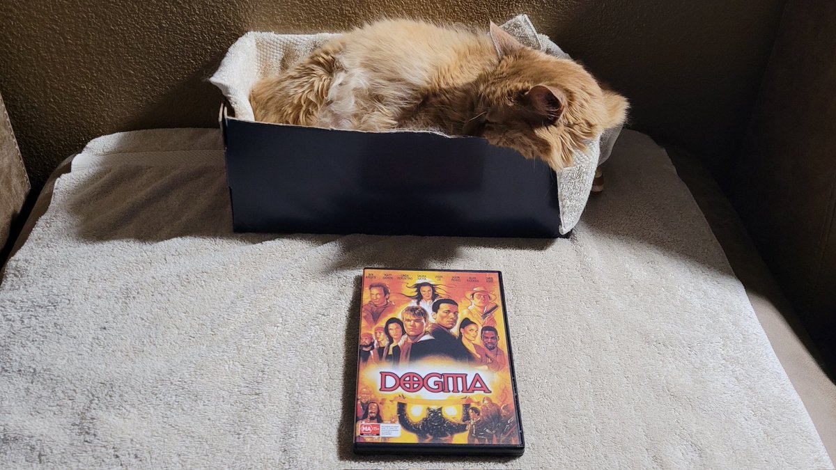 JasonStiff's tweet photo. I haven't seen Dogma (1999) in at LEAST 20 years, and it's never on, but I was able to buy it. Shylo wants me to wake her when they follow it up with the sequel, "Catma".
#cat #cats #Caturday #film #films #movie #movies #90smovies #Dogma #Catma #catsoftwitter #catsofx https://t.co/qWgmFEnbJq