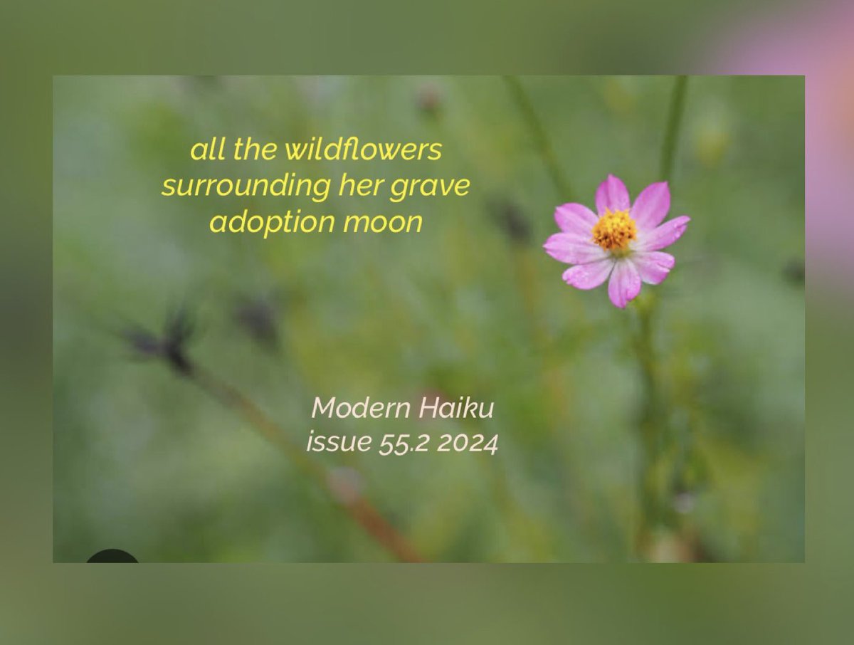 Thrilled to be in issue 55.2 of <a href="/modernhaiku/">Modern Haiku</a> . Thanks Paul for the honour.