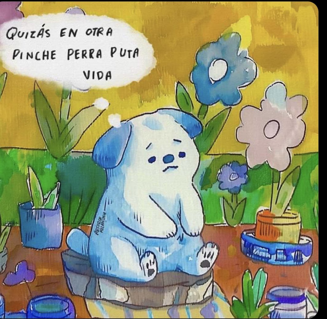 ZayDora's tweet photo. Quizás si… https://t.co/886lVI578V