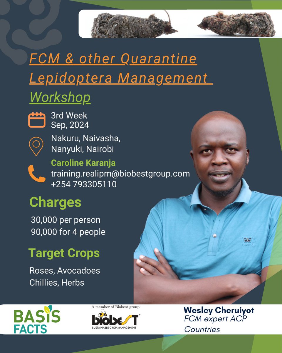 Real IPM ᅠᅠᅠᅠᅠᅠᅠᅠᅠᅠᅠᅠᅠᅠᅠᅠᅠᅠᅠᅠᅠᅠᅠᅠᅠᅠᅠᅠᅠᅠᅠᅠᅠᅠᅠ tweet media