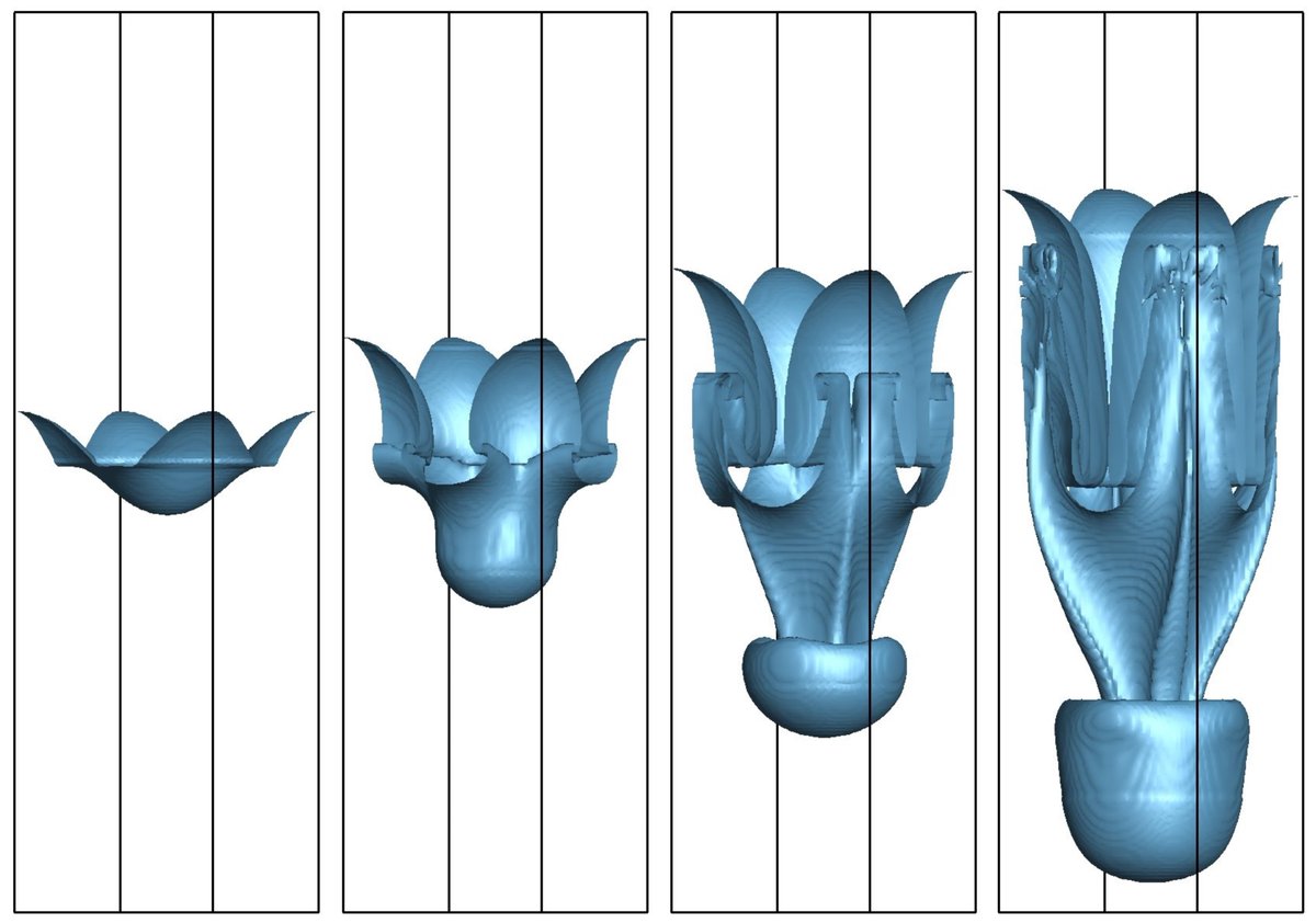 Our <a href="/Hormuzd_311/">Hormuzd Bodhanwalla</a> <a href="/djr4tweet/">Dheeraj R</a> new paper presents a fully-explicit weakly compressible method for incompressible two-phase flows. General pressure equation is used to update pressure. No need to solve a Poisson equation or to perform pseudo-time iterations
shorturl.at/okoCX
