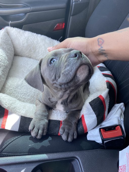 🥺🥺 https://t.co/440KHJKwAQ