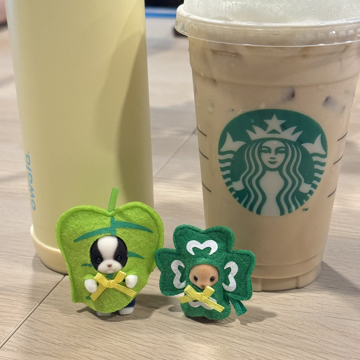 ˚ ༘♡ ⋆｡˚