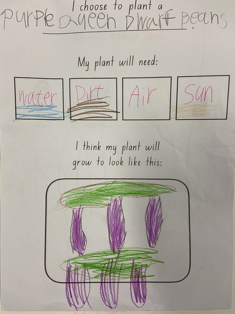 KENSINGTON PS tweet media