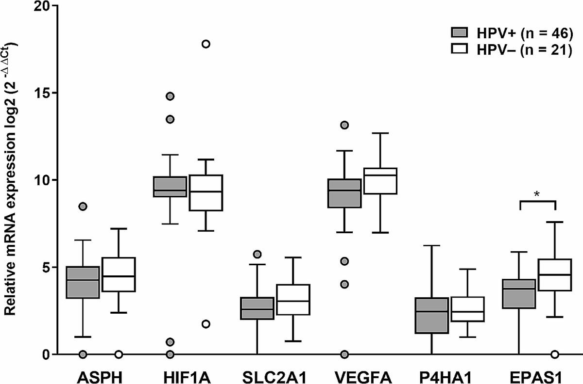 IAC_journal's tweet photo. Just published! Aspartate-β-hydroxylase and hypoxia marker expression in head and neck carcinomas: implications for HPV-associated tumors https://t.co/9uH0B7ssII https://t.co/vuilxPFAnd