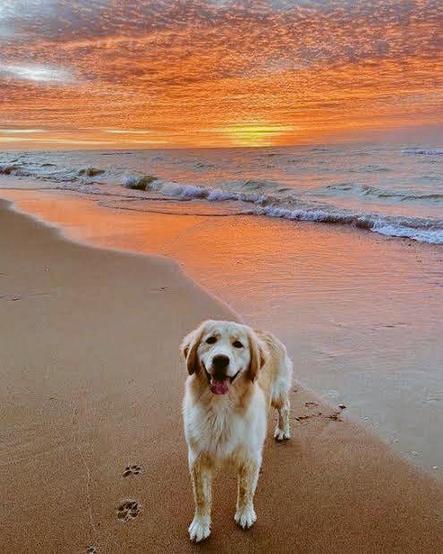 Günaydın sağlıklı huzurlu mutlu sabahlar hersey gönlünce olsun inşallah