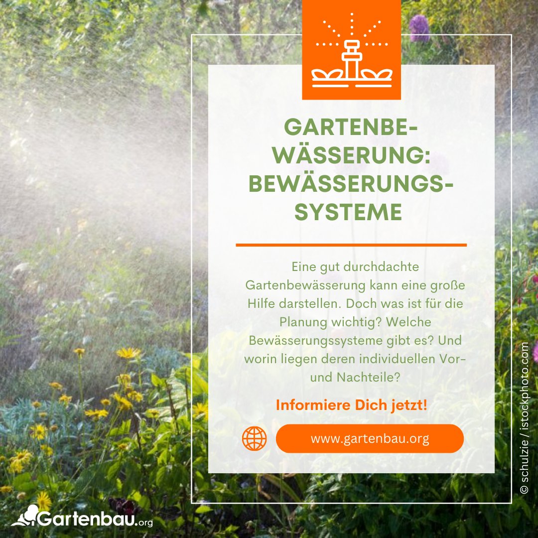 Gartenbau_org's tweet photo. Erfahre alles über die verschiedenen Bewässerungssysteme und ihre Planung für ein stressfreies Gartenerlebnis. Von Tropfbewässerung bis zu automatischen Systemen - finde das perfekte Setup für Deinen Garten!💧🌿 
https://t.co/xcnkaZdCka
#GartenbauOrg https://t.co/IxUEB9mNpM