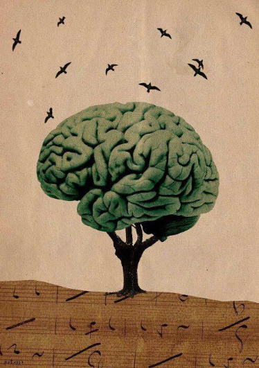 ElArteDeVivir__'s tweet photo. Qué está bajo tu control:
- Que dices
- Que haces
- Qué perspectiva tomas

Qué no está bajo tu control:
- Lo que hacen otras personas
- Lo que dicen otras personas
- Lo que piensan otras personas https://t.co/g7C8D1HcA3