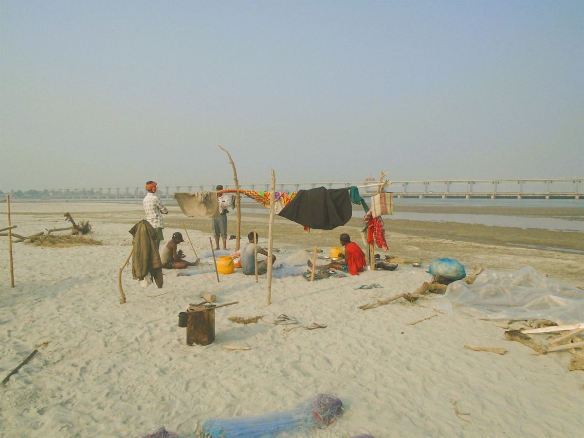 Bccn_Nepal's tweet photo. Fishing communities (such as Malaha, Sada, Mandal) from neighboring communities of Koshi River, heavily depend on fish harvesting, selling and earning in Koshi river.
In the dry season, when water level gets dry of the Koshi River, they are more active to fish harvesting

#BCCN https://t.co/NTvzKom9uQ