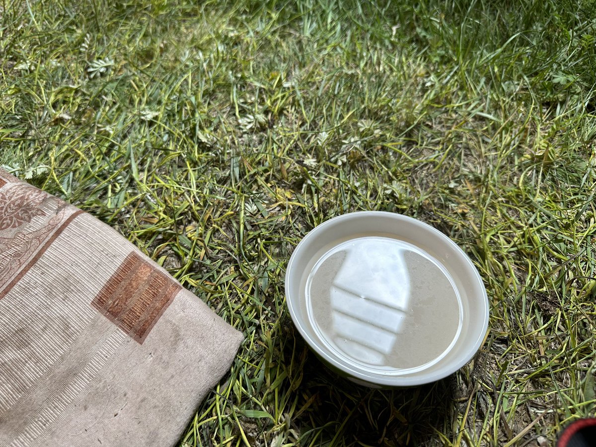 A #Mongolia la felicitat és de color blanc: iogurt fresc (tarag), galetes de quallada seca (aaruul), formatge fresc (byaslag) i per suposat té amb llet salat (suutei tsai)! Els pastors comparteixen amb nosaltres els seus productes i nosaltres ben contents 😍
#Etnoarqueologia