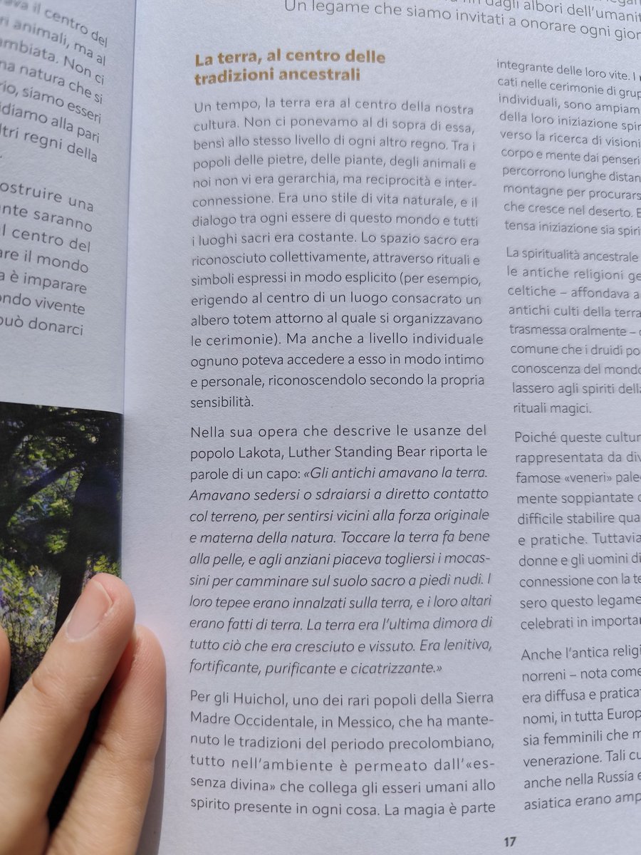 lunaelupo7's tweet image. ... La saggezza delle piante 💚🌱🌳
Osservarle nel loro mondo visibile ed invisibile #naturopatia #studiare 📚📖