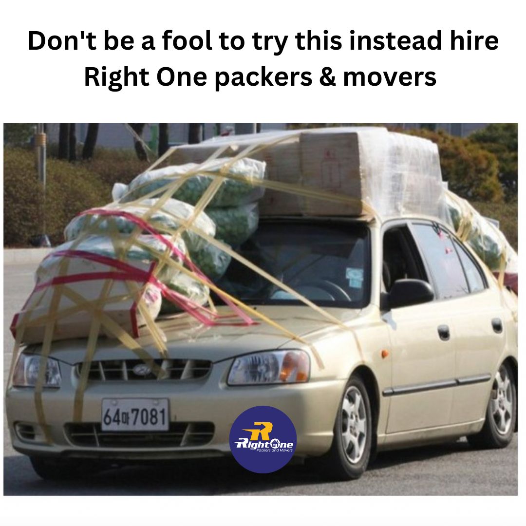 Rightonepackers's tweet photo. Don't be a fool—hire Right one packers &amp; movers as your moving partner… 

Contact us for packing &amp; moving services !!

#movers #packers #moversnearme #car #memes #funny #fool #comedy #instagram #instagood #rightonepackersandmovers #memesdaily #memeofday #instadaily https://t.co/Q4MPCSAHcU