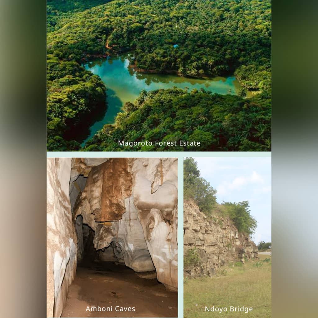 Tanzania Geological Society tweet media