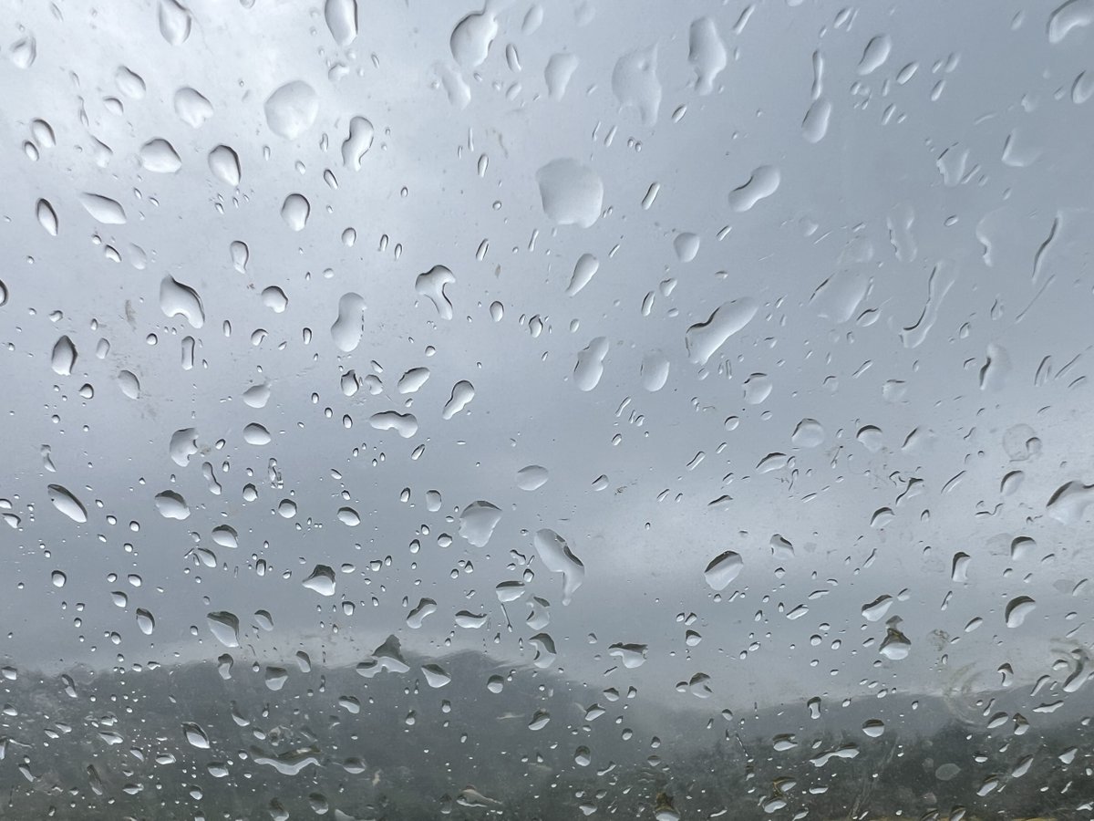 3CatInfo's tweet photo. Plou i plourà. Un dia primaveral que dona beure a boscos, camps i rius i alleugereix la calor d'aquesta època https://t.co/Ouj8OfZBVu #ElTemps3Cat https://t.co/6QTTkUUfA6