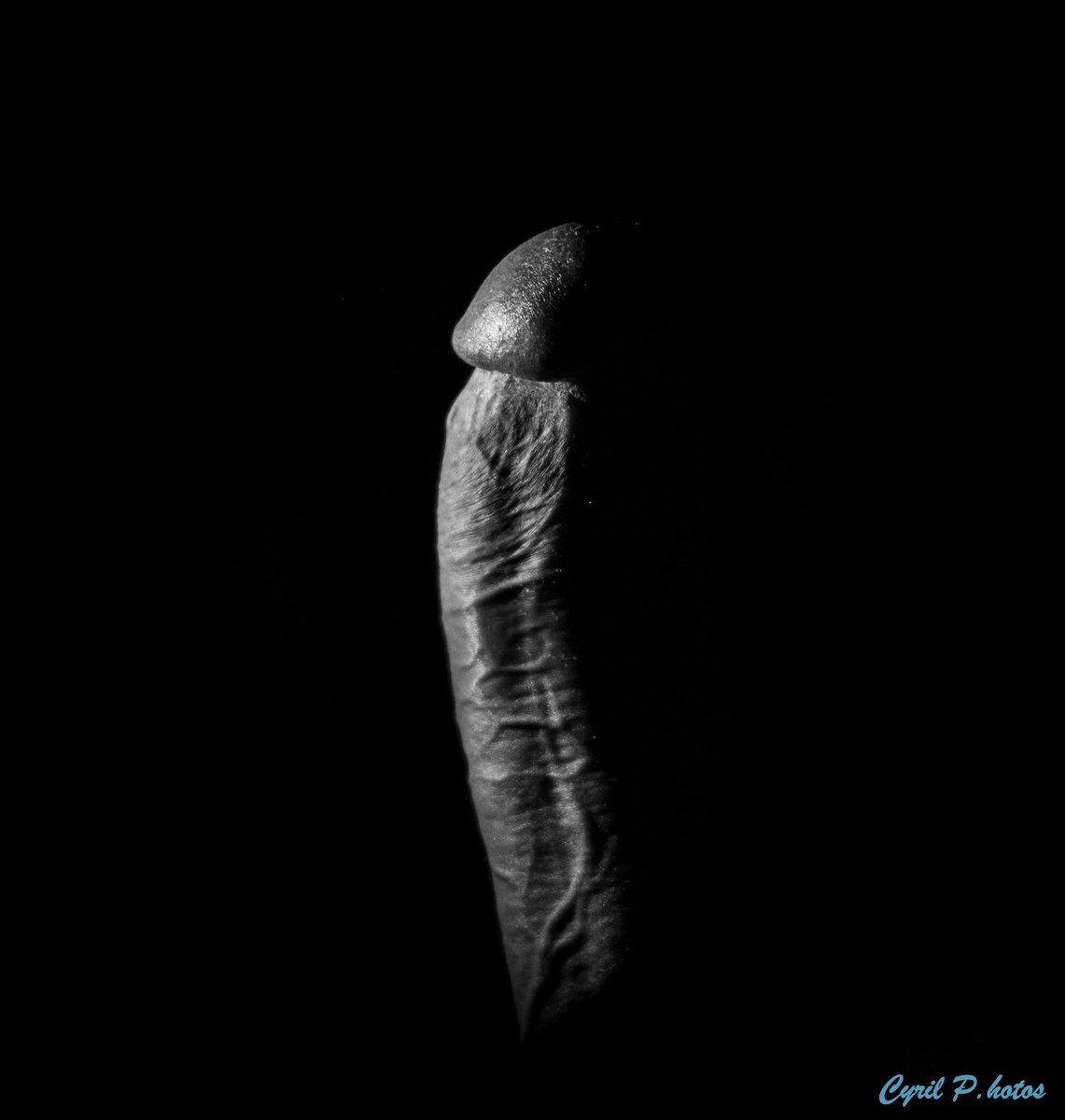 Posts with replies by kulpranav92 (@kulpranav1992)  X