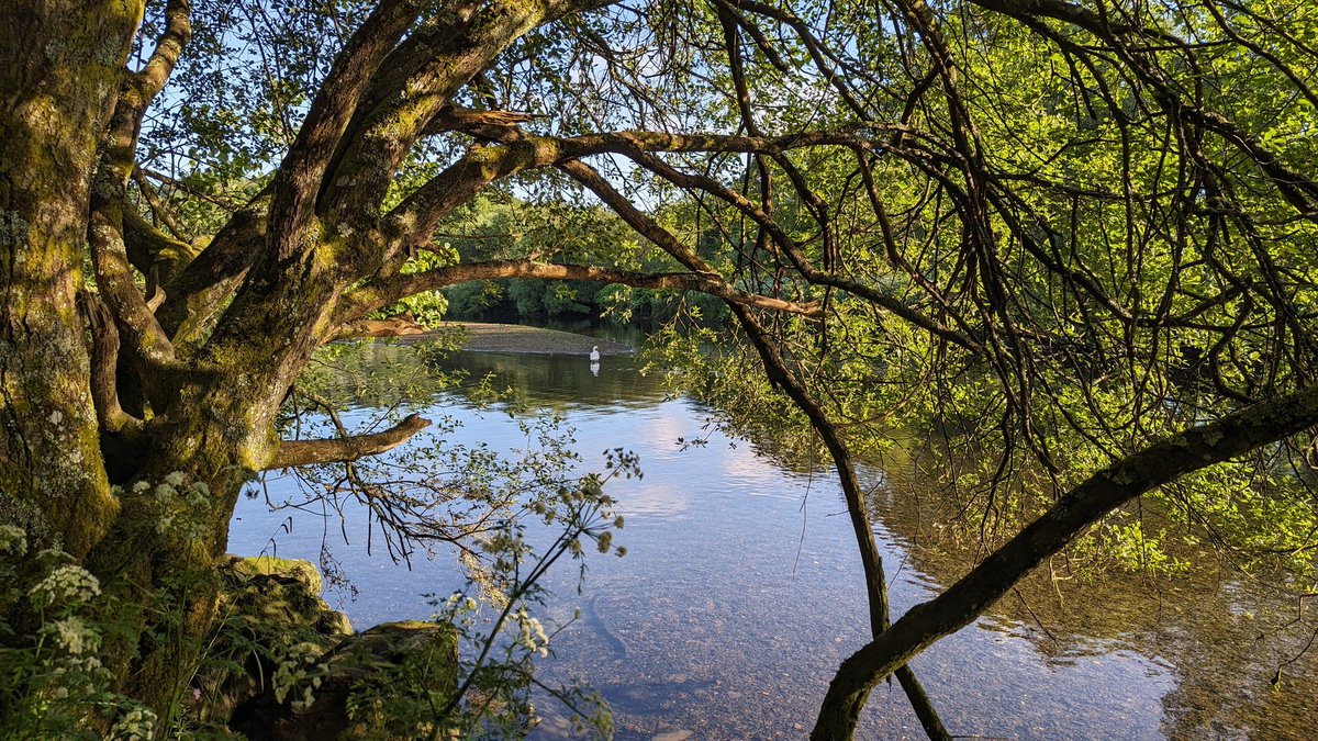 Happy #BlueMind Tuesday.
Resourcing myself for a busy day ahead. 
#balance