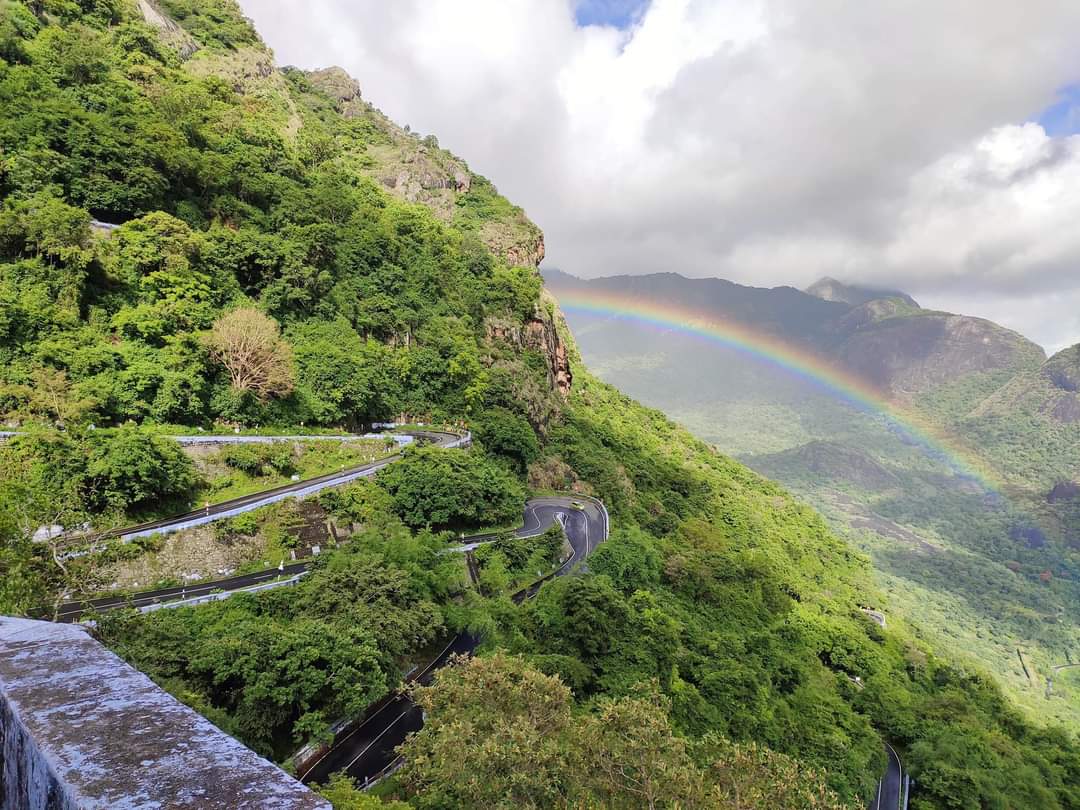 yoursarijit's tweet image. the theme of the week is “rainbows”....

#ThemeOfTheWeek #rainbow