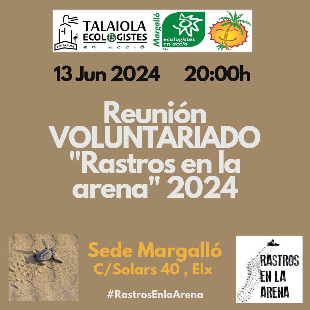 El próximo jueves 13 Jun 24 a las 20h... Vuelve #voluntariado RASTROS EN LA ARENA!!! #Elche #SantaPola #ecologistas #tortugas