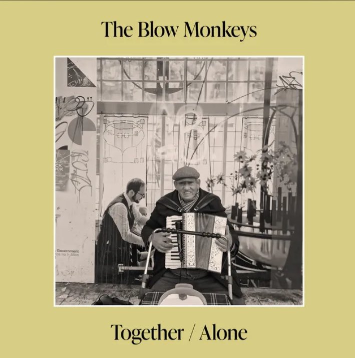 pvigano65's tweet photo. 💽🆕📝 #onlyforyou Non tramonta mai il sole sul #pop di classe. Il ritorno di @theblowmonkeys con l’album n12 della loro storia, il migliore dopo la ripartenza del #2007 . Magnetica la voce di #DrRobert : consigliato nei momenti di #relax #musica #news #ascolti #pilloledinote https://t.co/OlJ9Qnzk7r