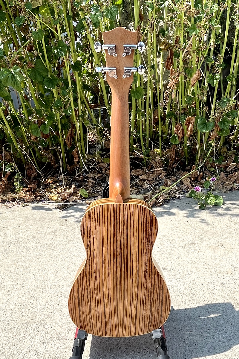 aiersiguitar's tweet photo. #aiersi #music #ukulele #sprucetop new finished concert spruce top zebrawood ukulele from aiersi brand https://t.co/zwNpBKTfGu