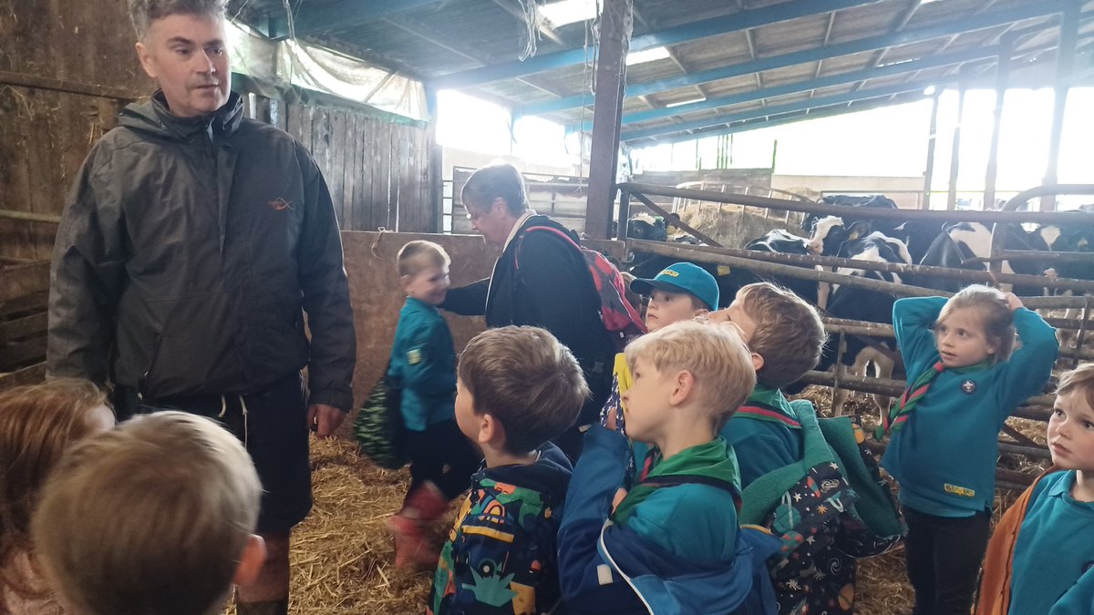 Annabel Shackleton tweet media