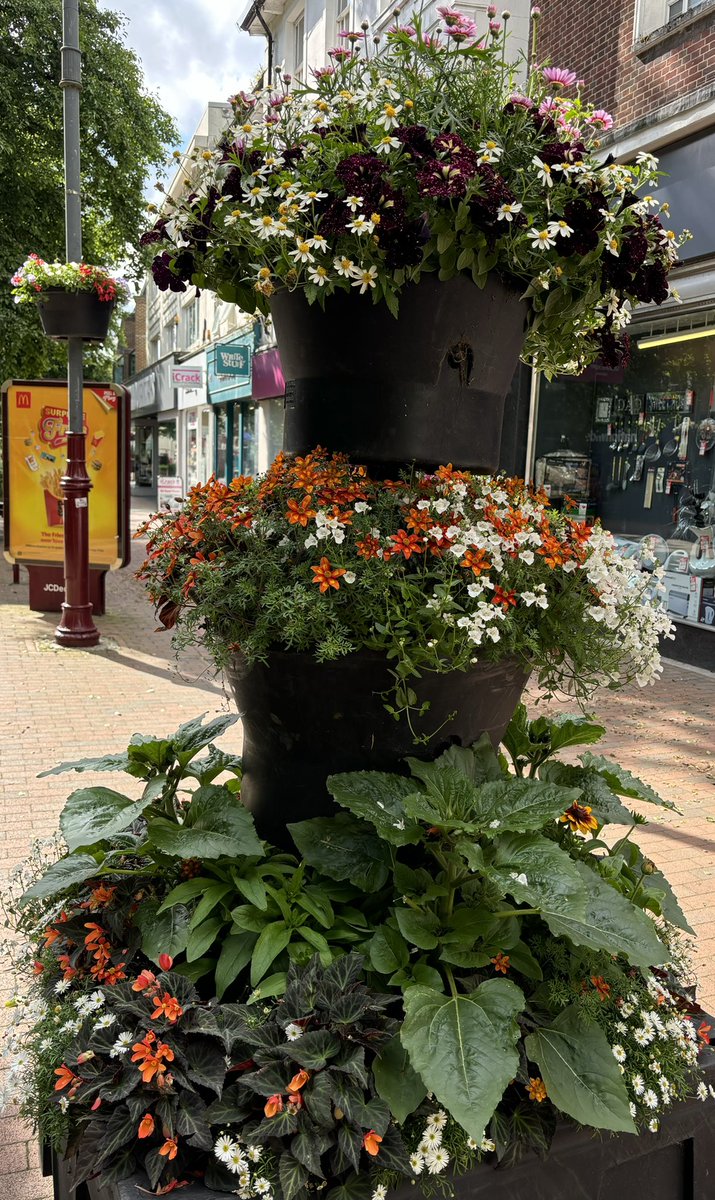 RTW in Bloom tweet media