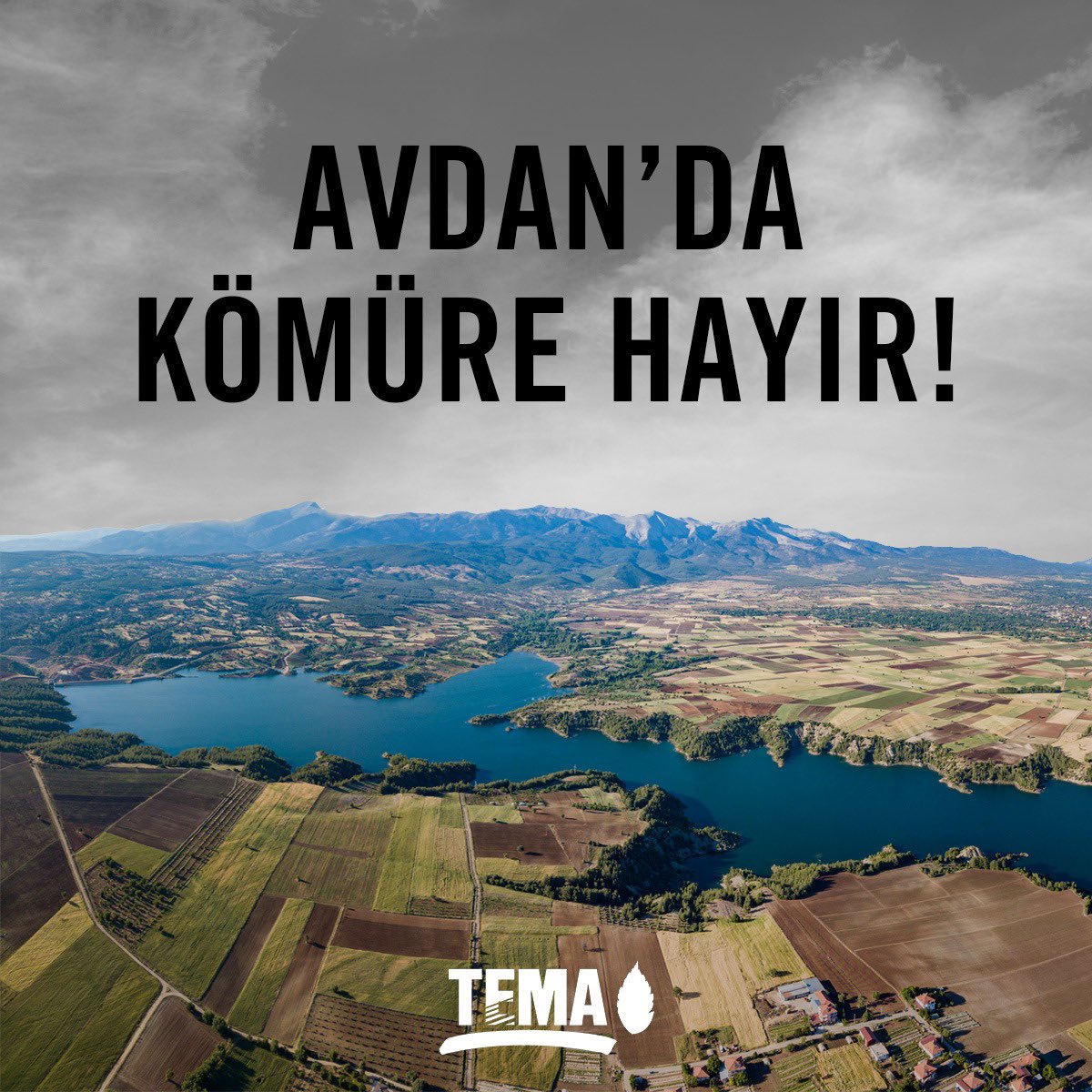 📌 Bugün Denizli 1. İdare Mahkemesi’nde, Avdan köyünde açılmak istenen kömür madenine karşı ÇED Olumlu Kararı’nın iptali için dava görülecek. 

❗Bu duruşma, tarım topraklarımızın, suyumuzun, havamızın yanı sıra bölgede bulunan endemik türler ve antik kentler gibi kültürel