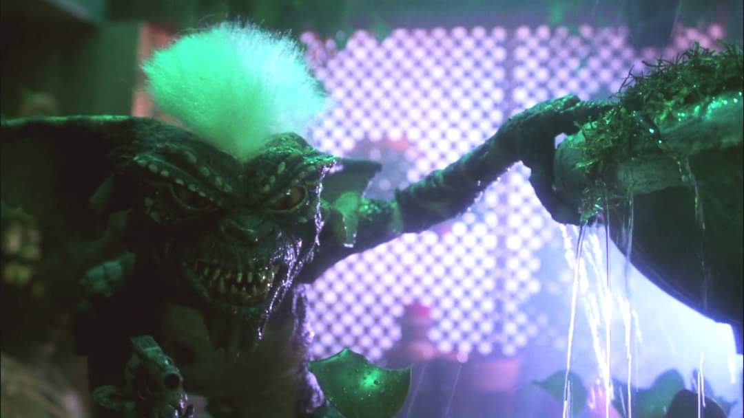 40 anni di #Gremlins (1984) di Joe Dante!

Ricordiamo il film con Stripe / Mohawk, il più punk tra i gremlin!