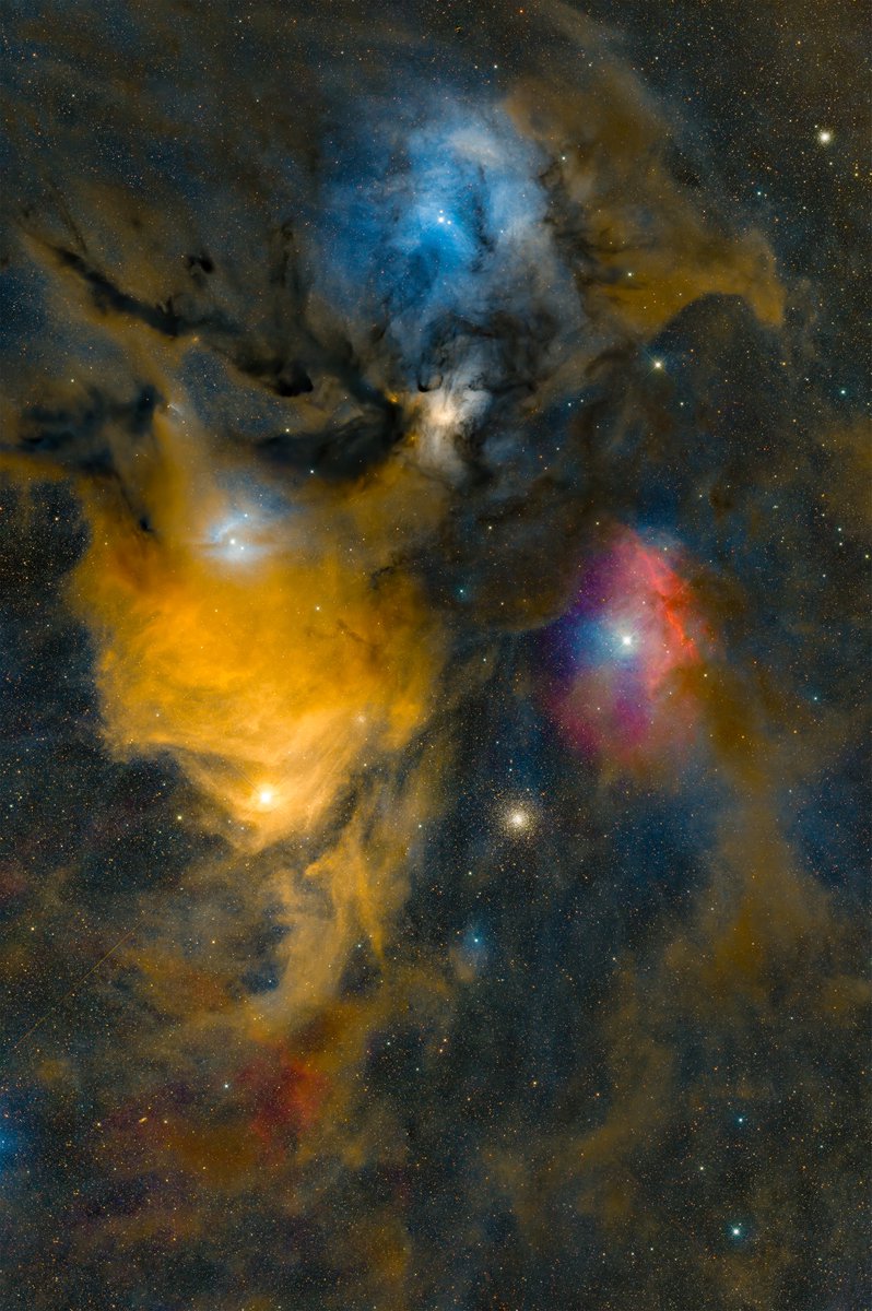 SharpstarOptics's tweet image. 🌟IC4604
🔭Sharpstar 13028HNT
Mount: ZWO AM5
Camera: ZWO ASI2600MC
Exposure: 6.5h
PHOTO BY: Tianxingzhe
#askardaily #13028hnt #sharpstar #astrophotography #ic4604