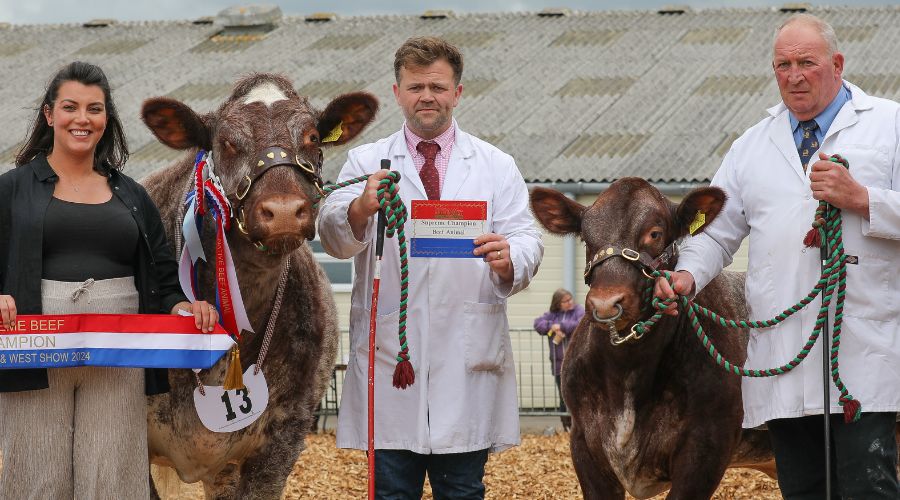 FarmersGuide's tweet image. A great calibre of livestock was in attendance at this year’s Royal Bath &amp;amp; West Show, and no stone was left unturned by judges in the ring, the organiser confirms. 

farmersguide.co.uk/livestock/gall…

#britishlivestock #livestock #livestockshow